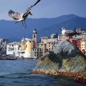 Il Veliero Appartamento Camogli